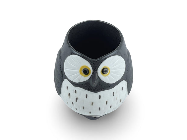 Japanese Black Fukuro Owl Teapot Set - Shizen Cha