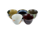 Japanese Dento - teki Tea Cup Set - Shizen Cha