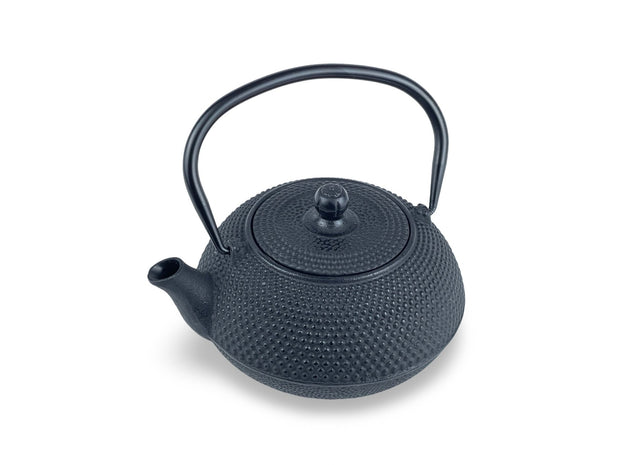 Japanese Mokutan Black Cast Iron Tetsubin Teapot Set - Shizen Cha