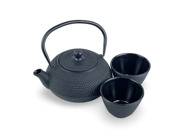 Japanese Mokutan Black Cast Iron Tetsubin Teapot Set - Shizen Cha