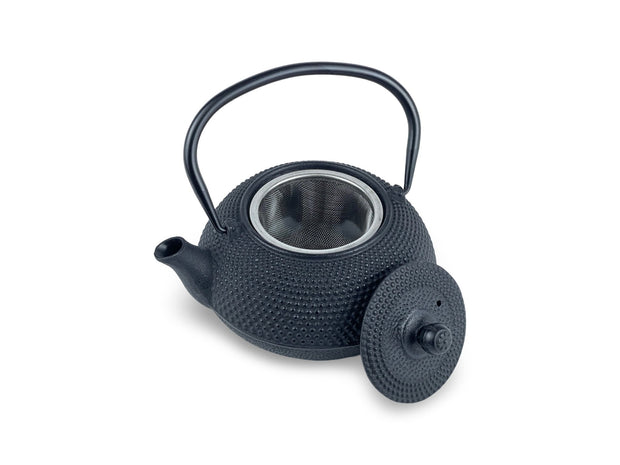 Japanese Mokutan Black Cast Iron Tetsubin Teapot Set - Shizen Cha