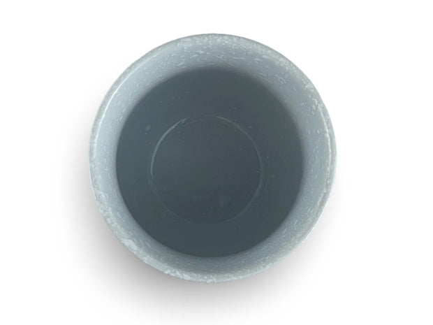 Japanese Winter Plum Bossom Tea Cup - Shizen Cha