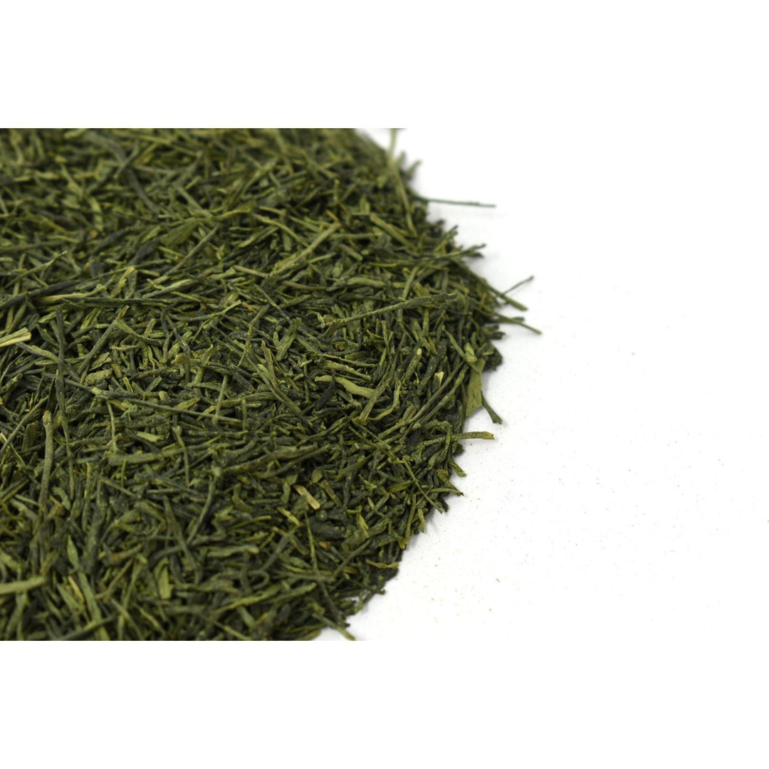 Ceremonial Grade Matcha Nishio 西尾 [Competition Grade] 30g